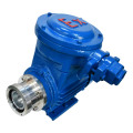Magnet gear doing pump for delivery chemical liquids